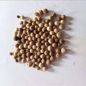 Lada Putih Utuh (White Pepper) 50gr